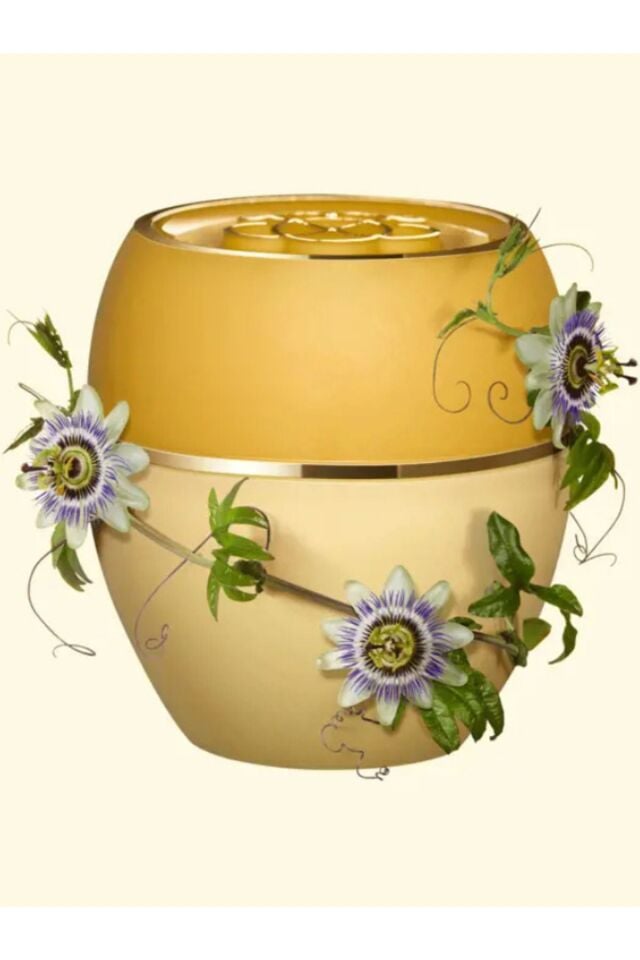Tender Care Çarkıfelek Meyvesi Çekirdeği Özlü Koruyucu Balm 36153